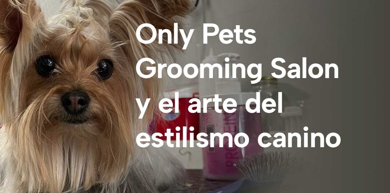 Only Pets Grooming Salon y el arte del estilismo canino