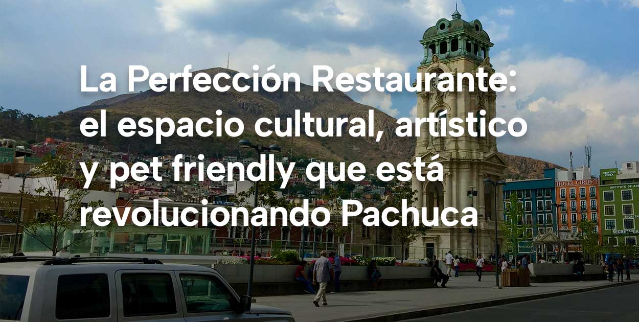 La Perfección Restaurante: el espacio cultural, artístico y pet friendly que está revolucionando Pachuca